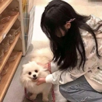 格罗亚传奇腾讯客户端下载